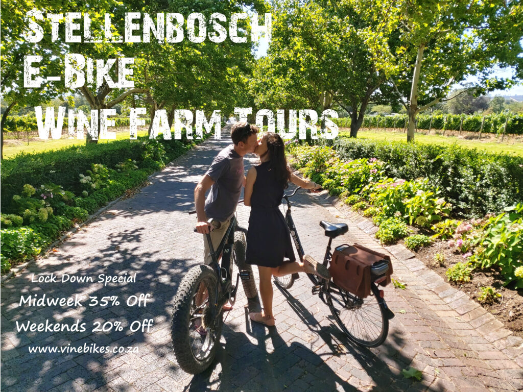 Stellenbosch EBike Wine Tour VineBikes