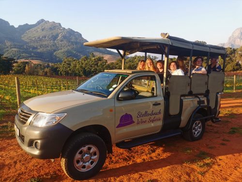 Stellenbosch Wine Safaris