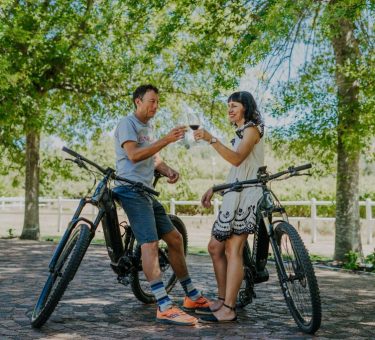 e-bike-the-winelands